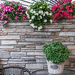 Apartamento Anóe Old Town Tesalónica